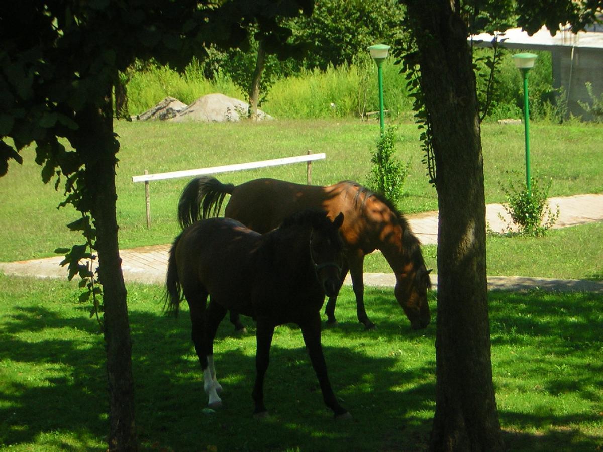 Villapiana Country House Pellezzano Exterior foto